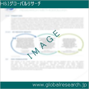 グローバルリサーチ調査レポートのイメージ